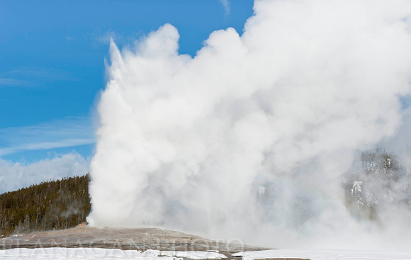 Old Faithful Eruption