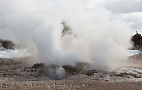 Lower Geyser Basin