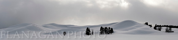 Hayden Valley