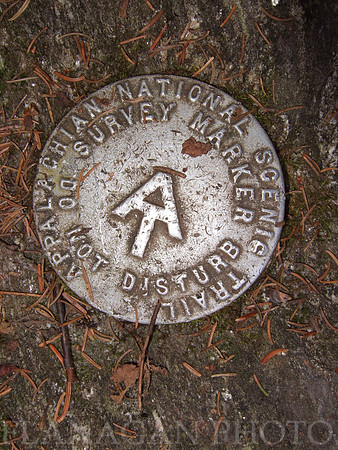 AT Bench Mark