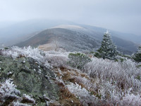 Appalachians/AT