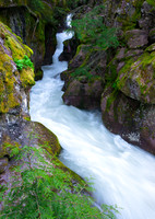 Northern Rockies